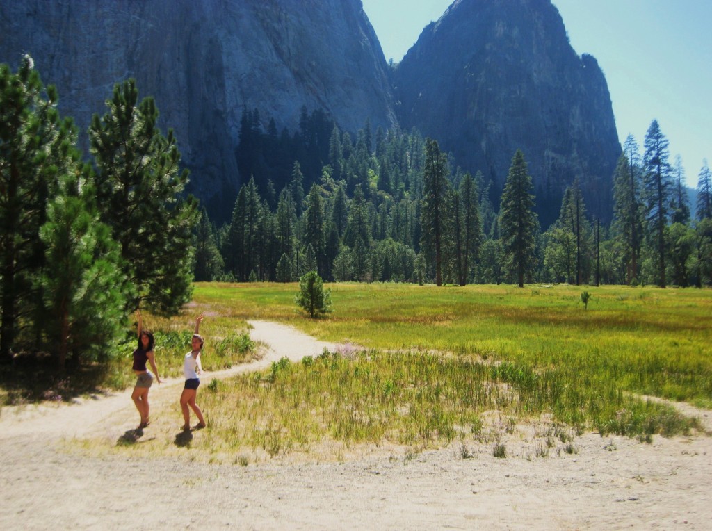Inside Yosemite Park