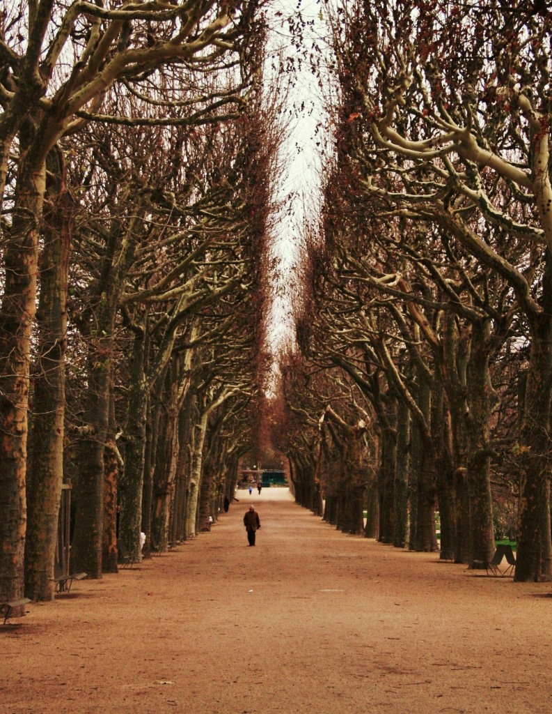 Archway of trees in Paris, park, France, autumn, romantic paris, 