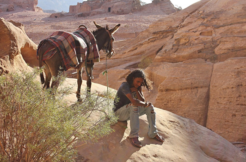 Bedouin in Petra, Jordan, Donkey, Mule, Seven