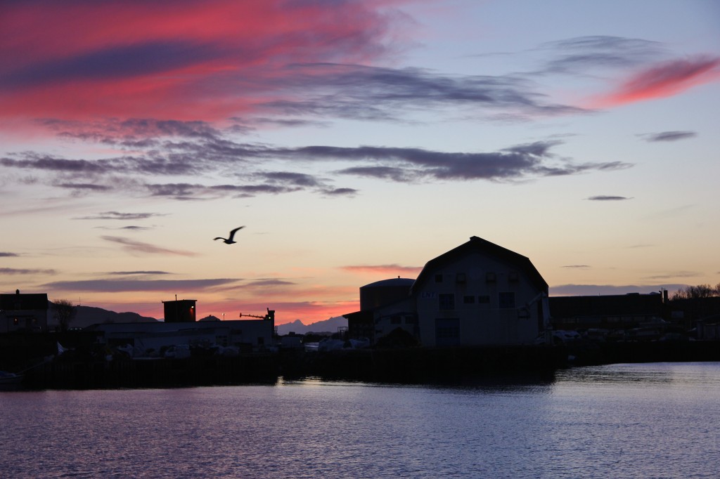 Lofoten Islands, Svolver, Norway, Twilight, harbour