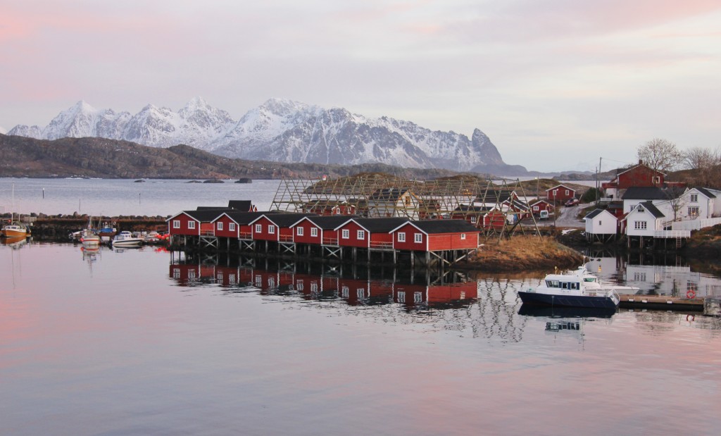 Robus, lofoten islands, norway, sea, fjord