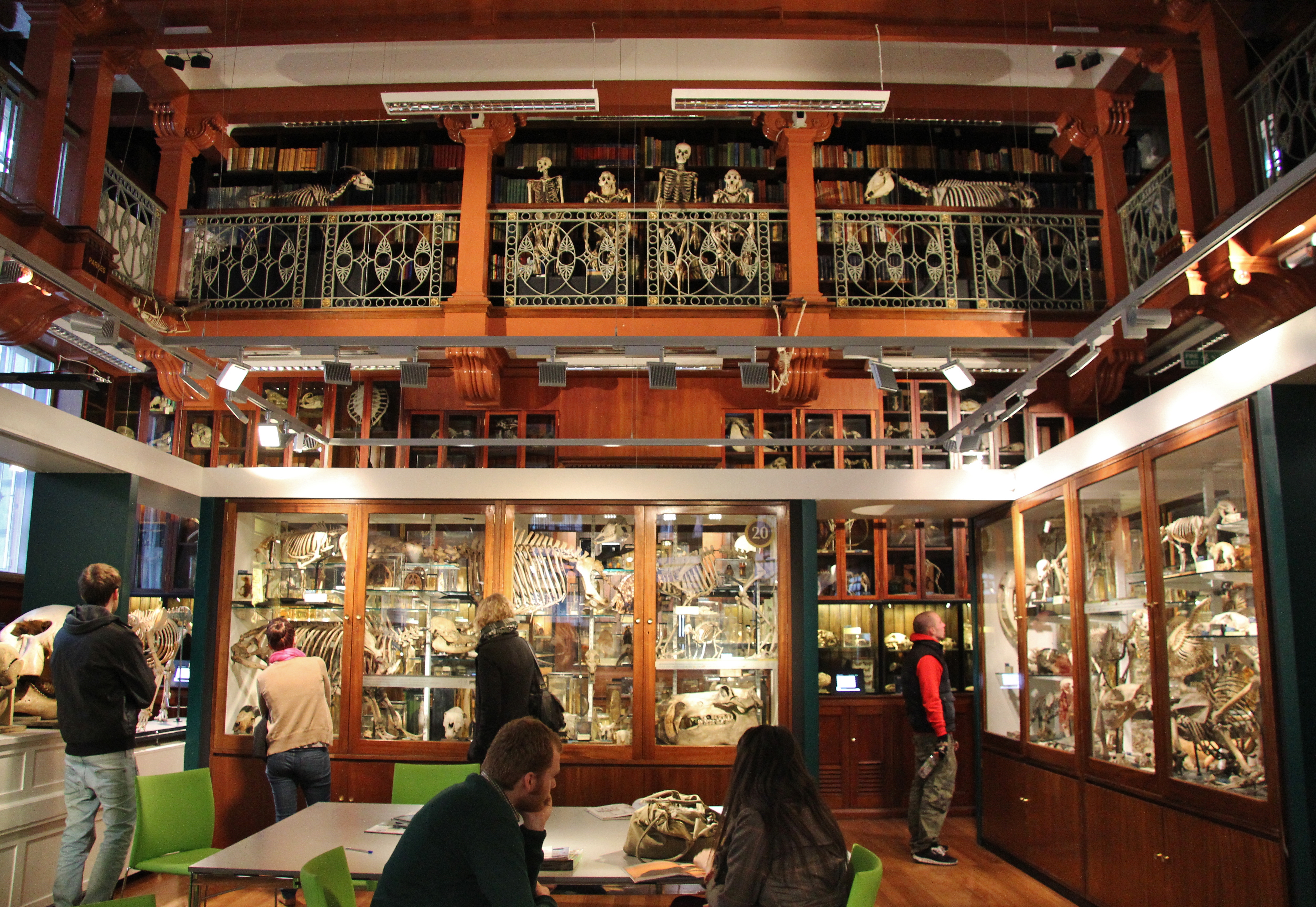 Inside Grant Museum of Zoology, London
