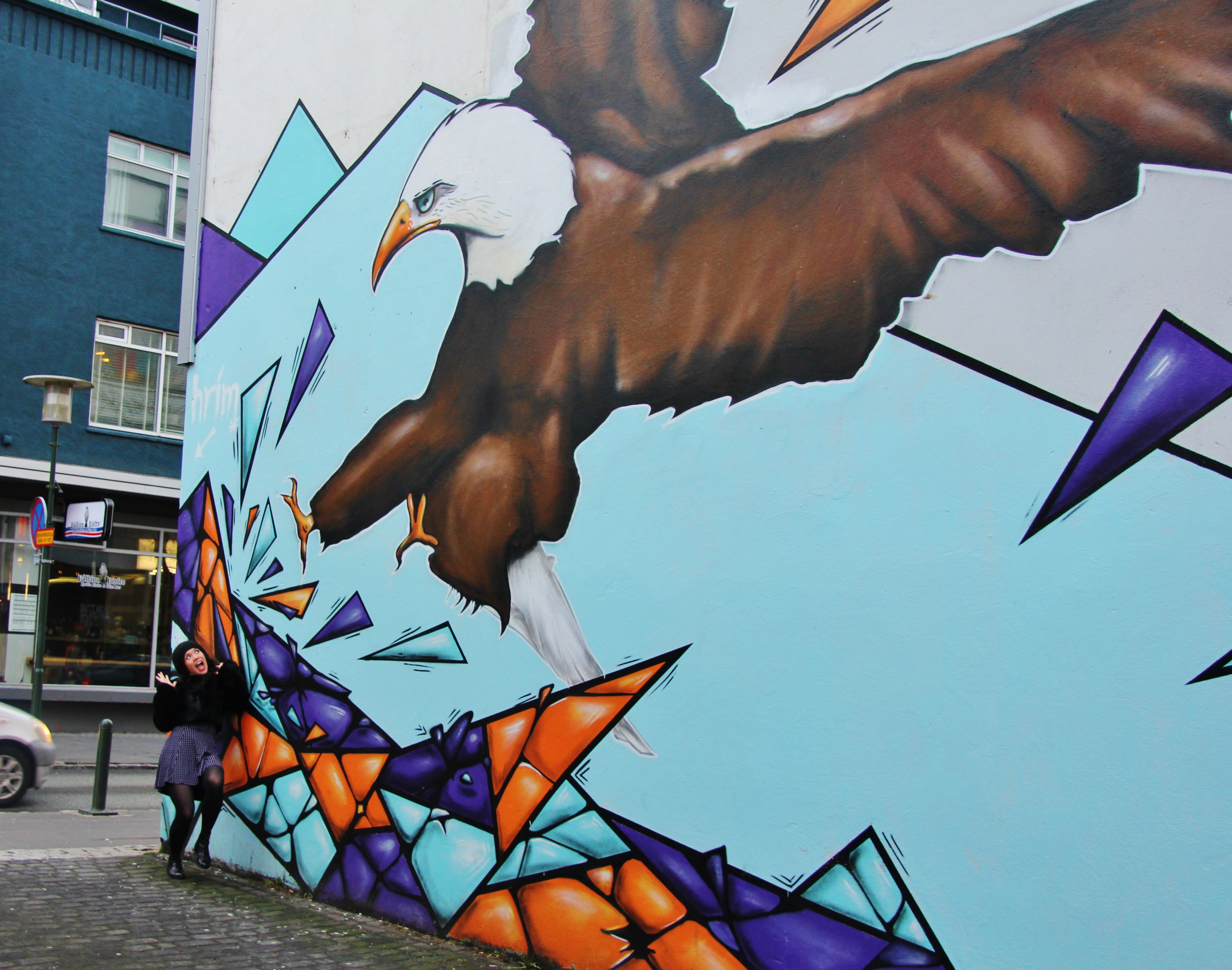 Bird, street art in Reykjavik