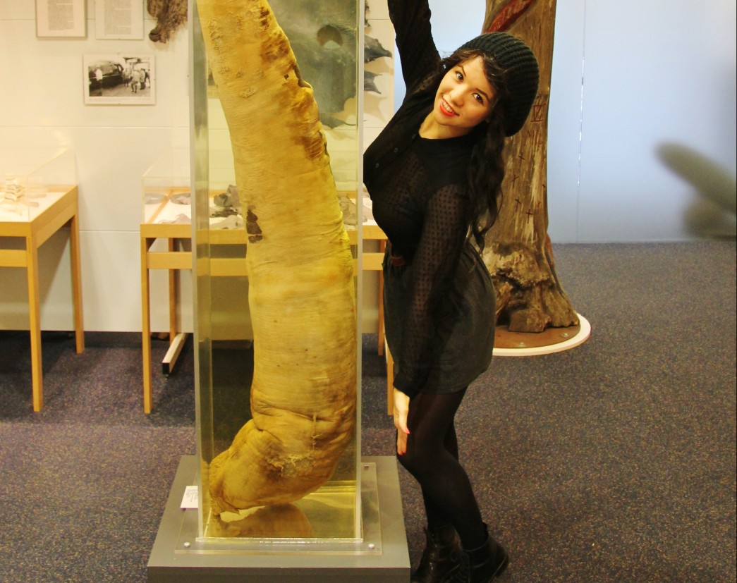 Warning This Post Contains Penis… Iceland’s Phallological Museum in Reykjavik Admit it, the word ‘penis’ caught your attention. With large modern windows and its name crisply printed across the building, you could easily mistake Iceland’s Phallological Museum for being an...