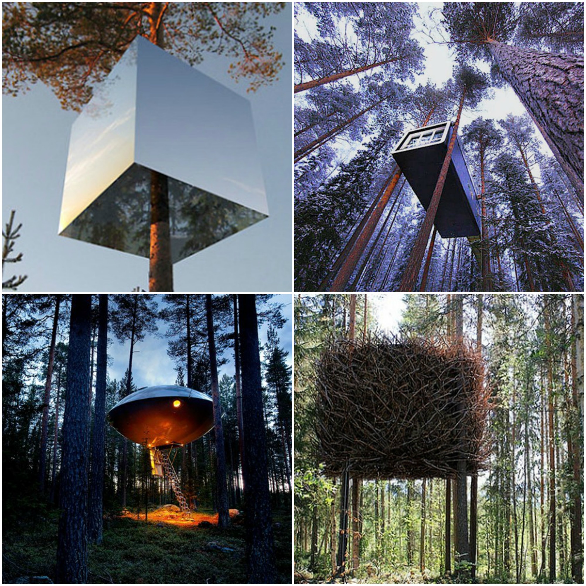 The Treehotel, Sweden, Harads