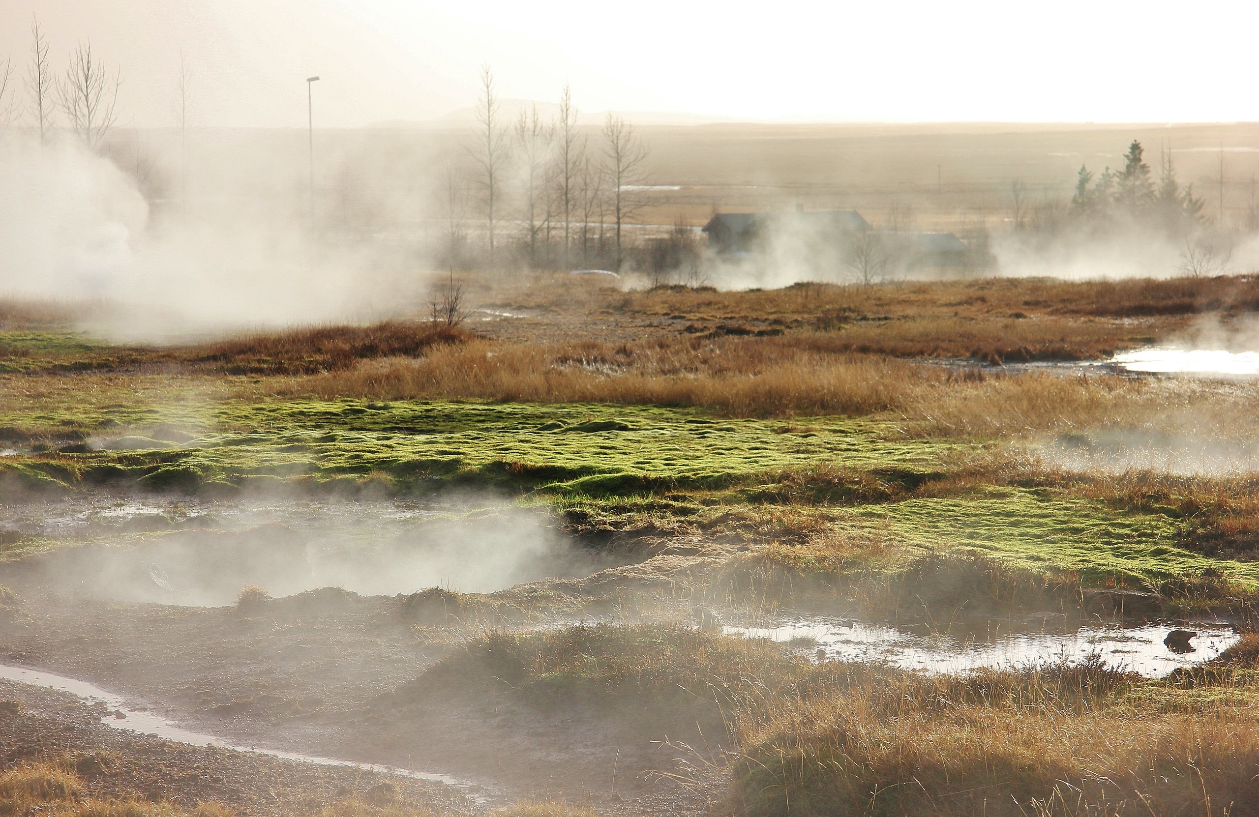Geyser Area - Golden Circle Tour in Iceland