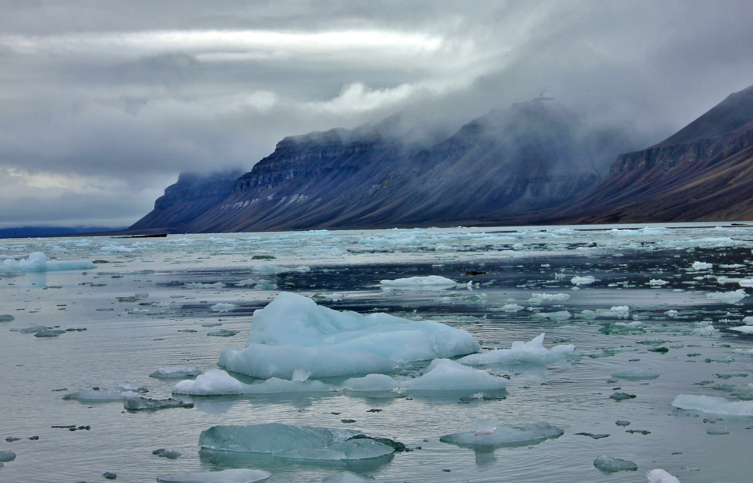 Ice floes near glacier in Svalbard