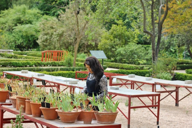 Botanical garden, Madrid