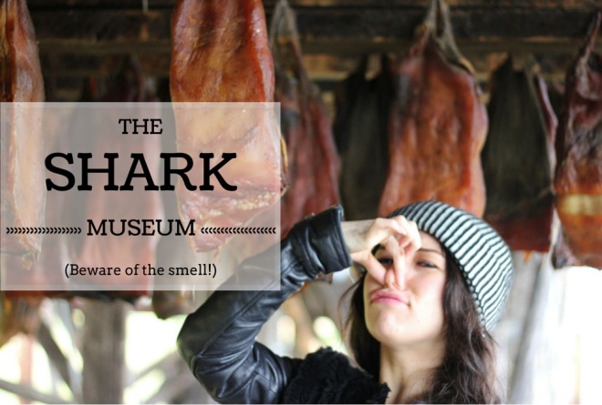 Shark Museum in Iceland