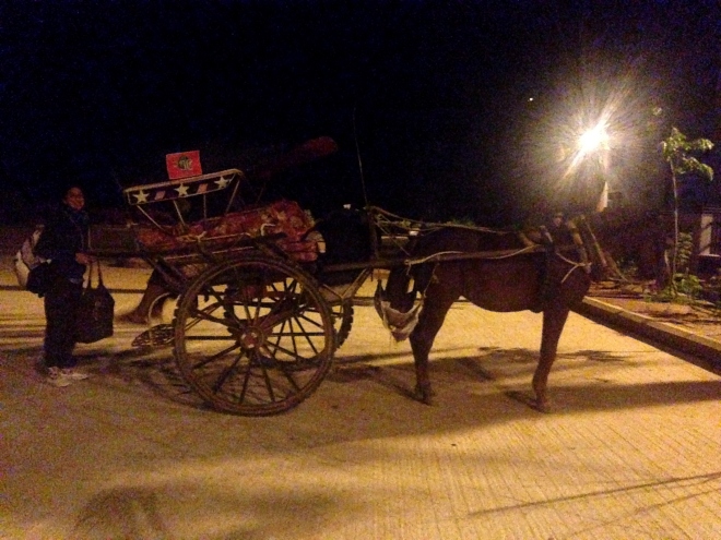 Horsecart in Bagan