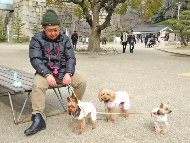 Dog fashion in Japan