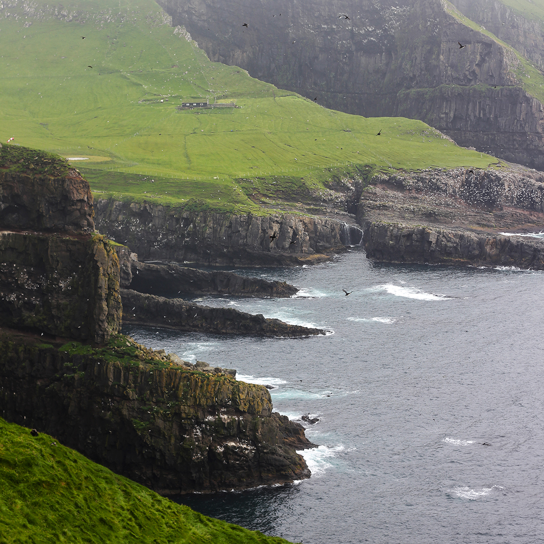 Mykines, Faroe islands