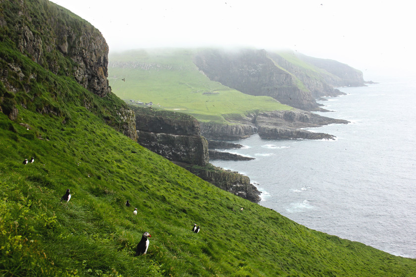 Mykines, Faroe Isands