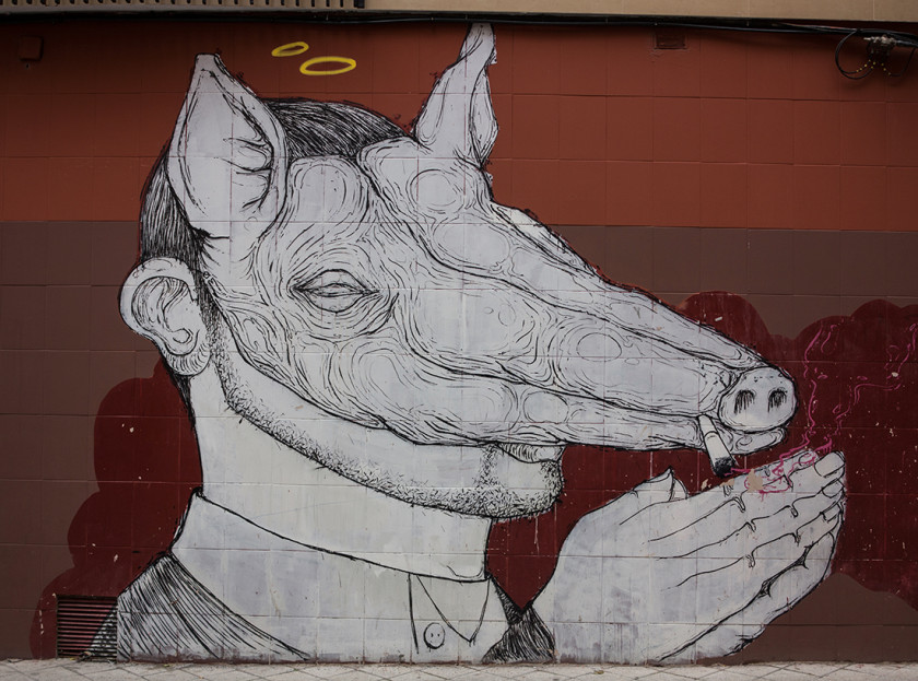 Amazing street art in Salamanca, Spain