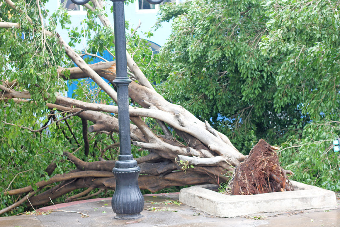 Damage in Trinidad, Cuba, after Hurricane Irma