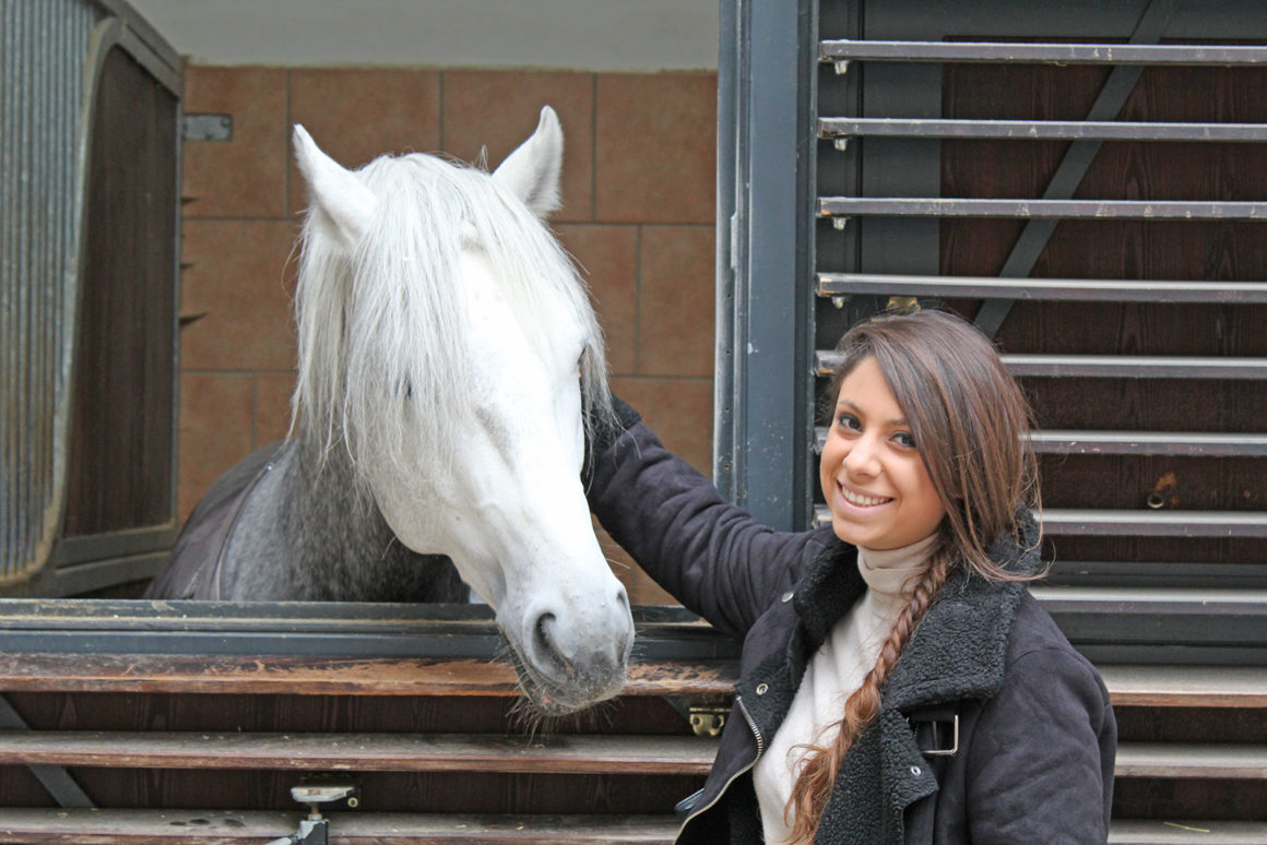 Visit the Spanish Riding School in Vienna