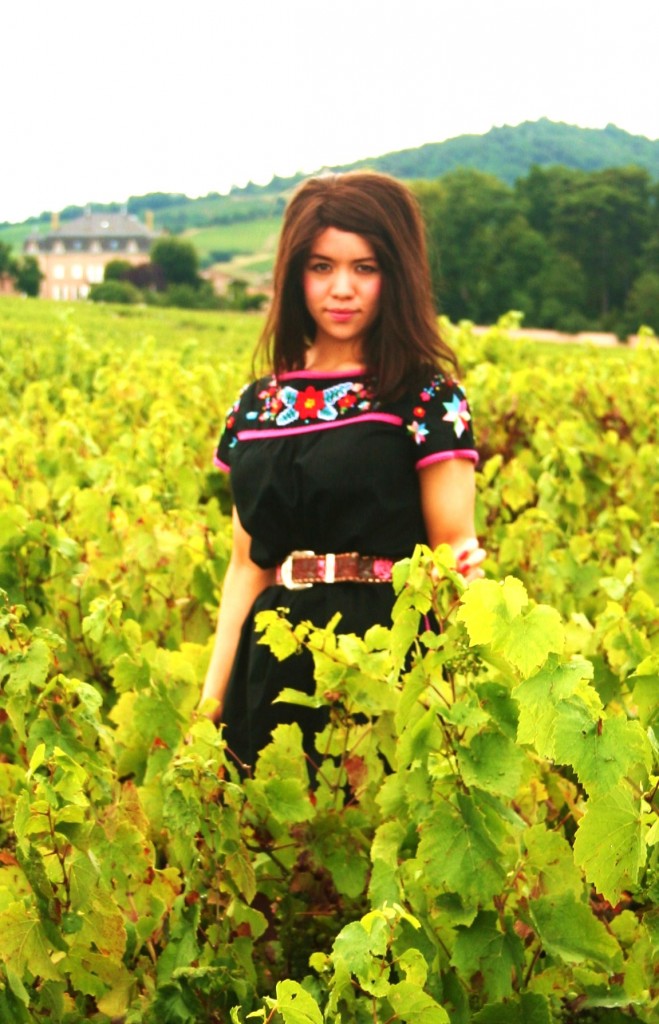 Vineyard, France