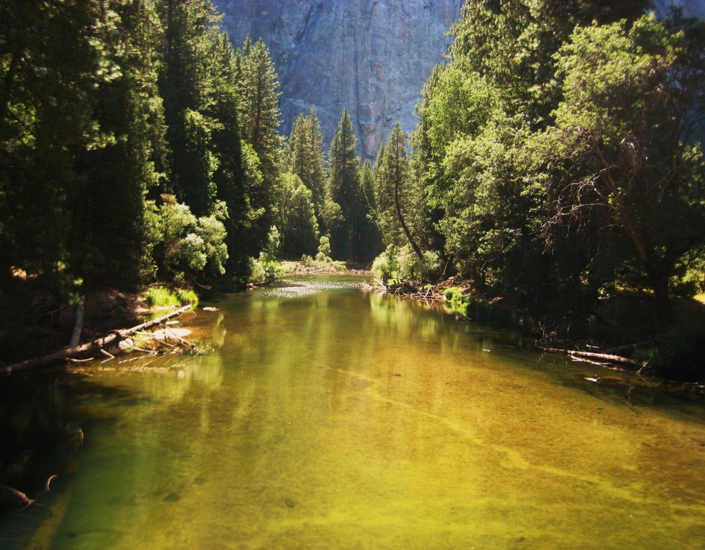 Yosemite Valley. Merced River