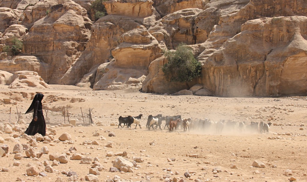 Goat herder in Petra, rock formations