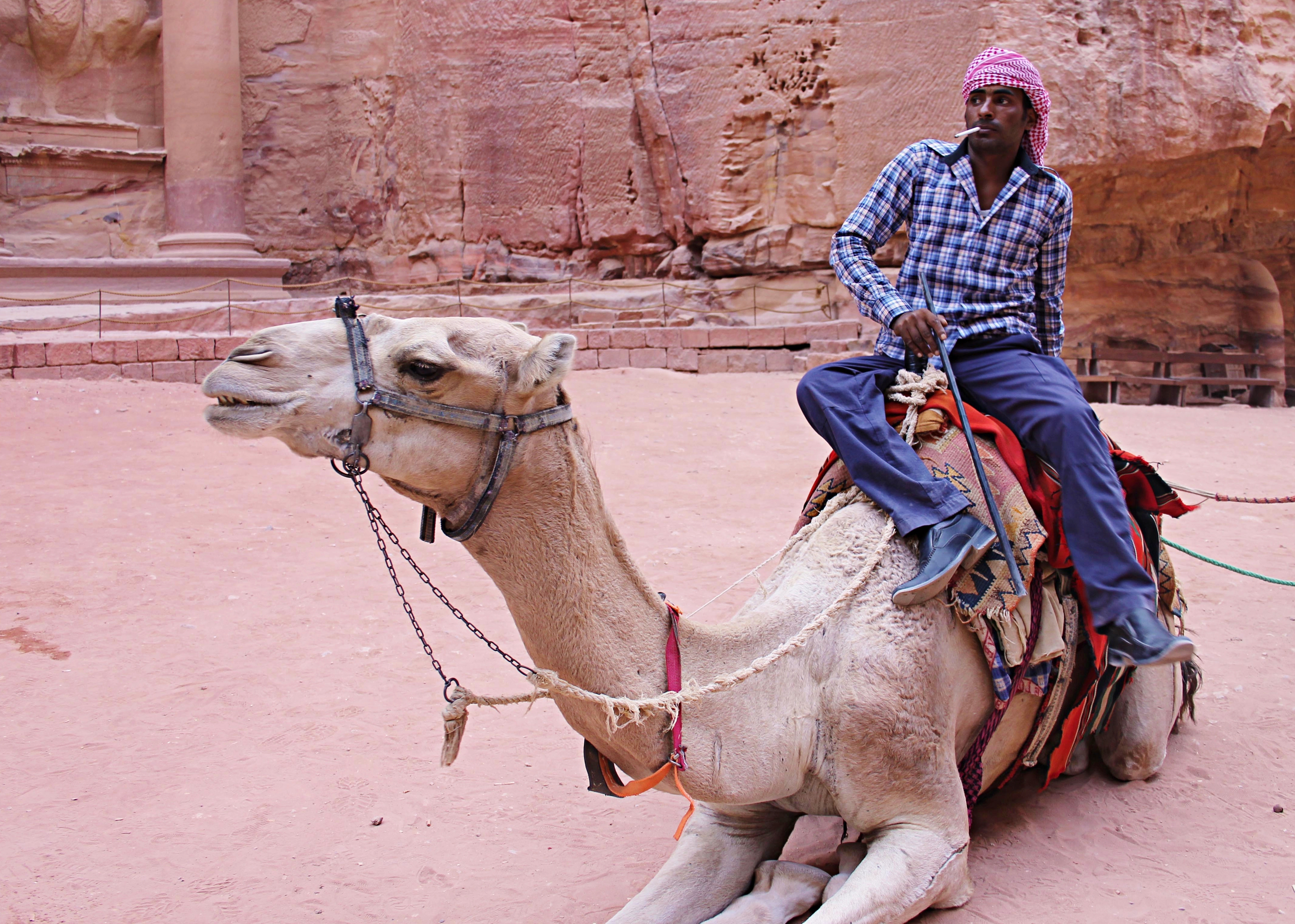 Camel ride in Petra, Jordan