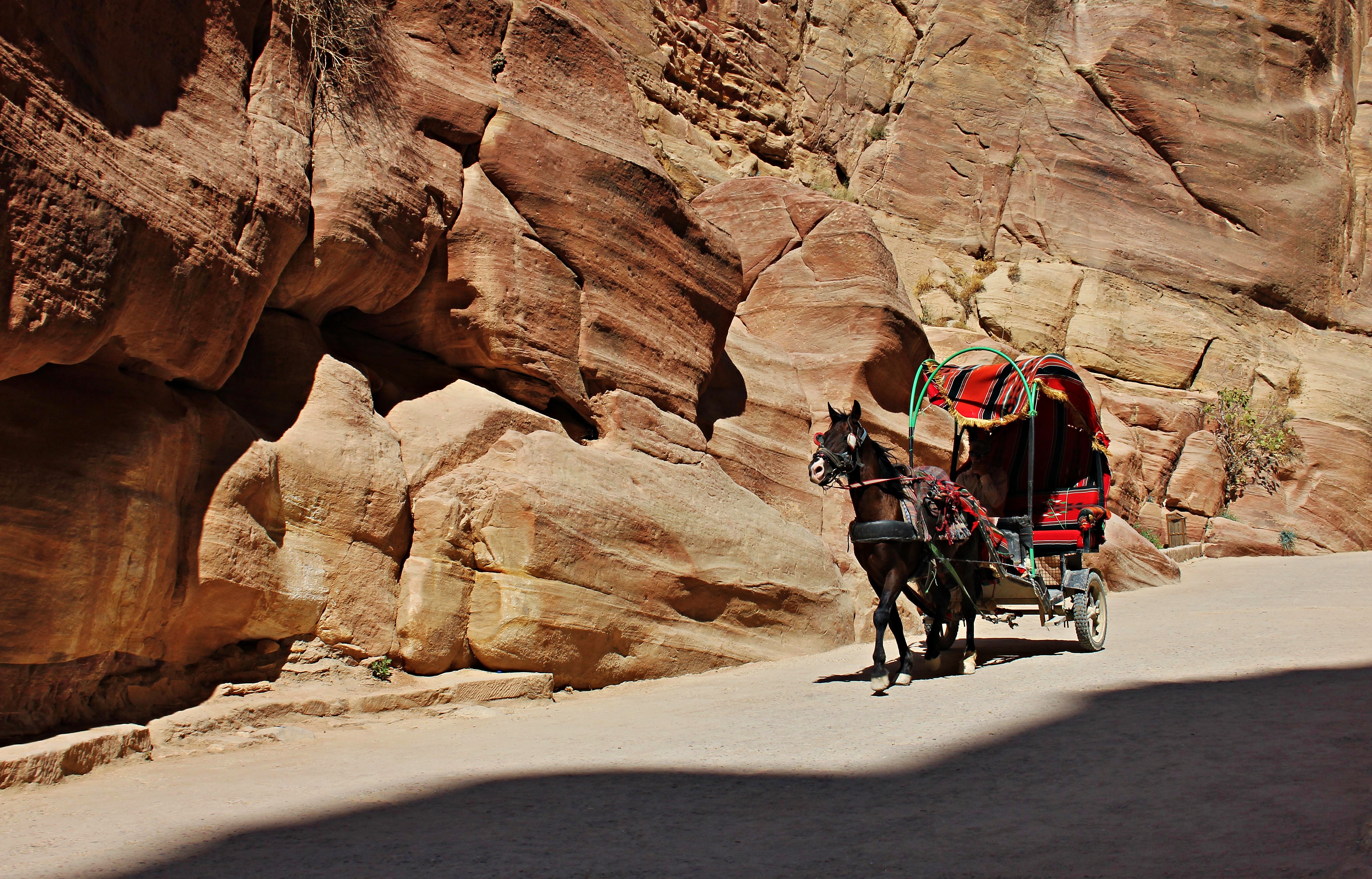 Chariot in Petra, Siq