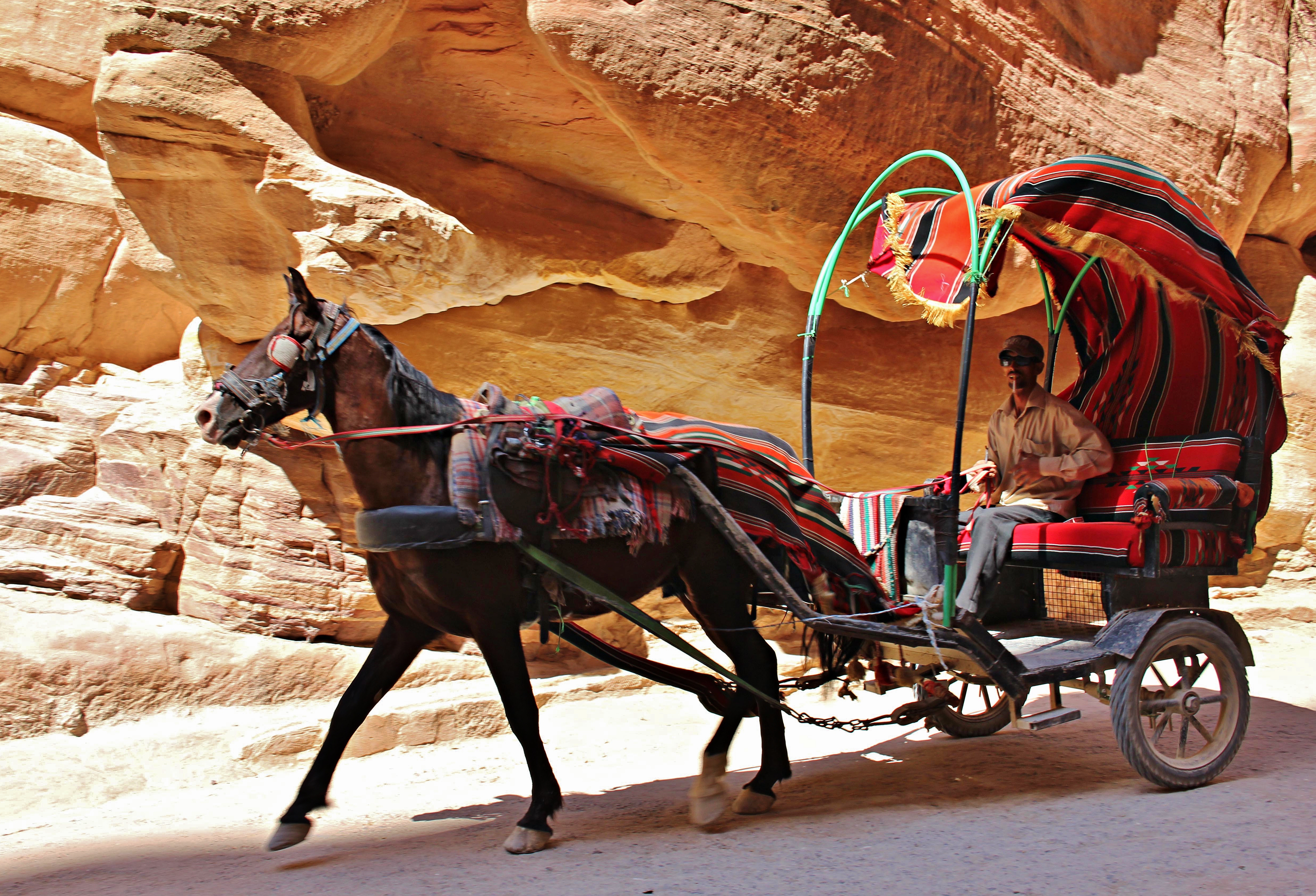 Horse and chariot ride in Petra, Jordan