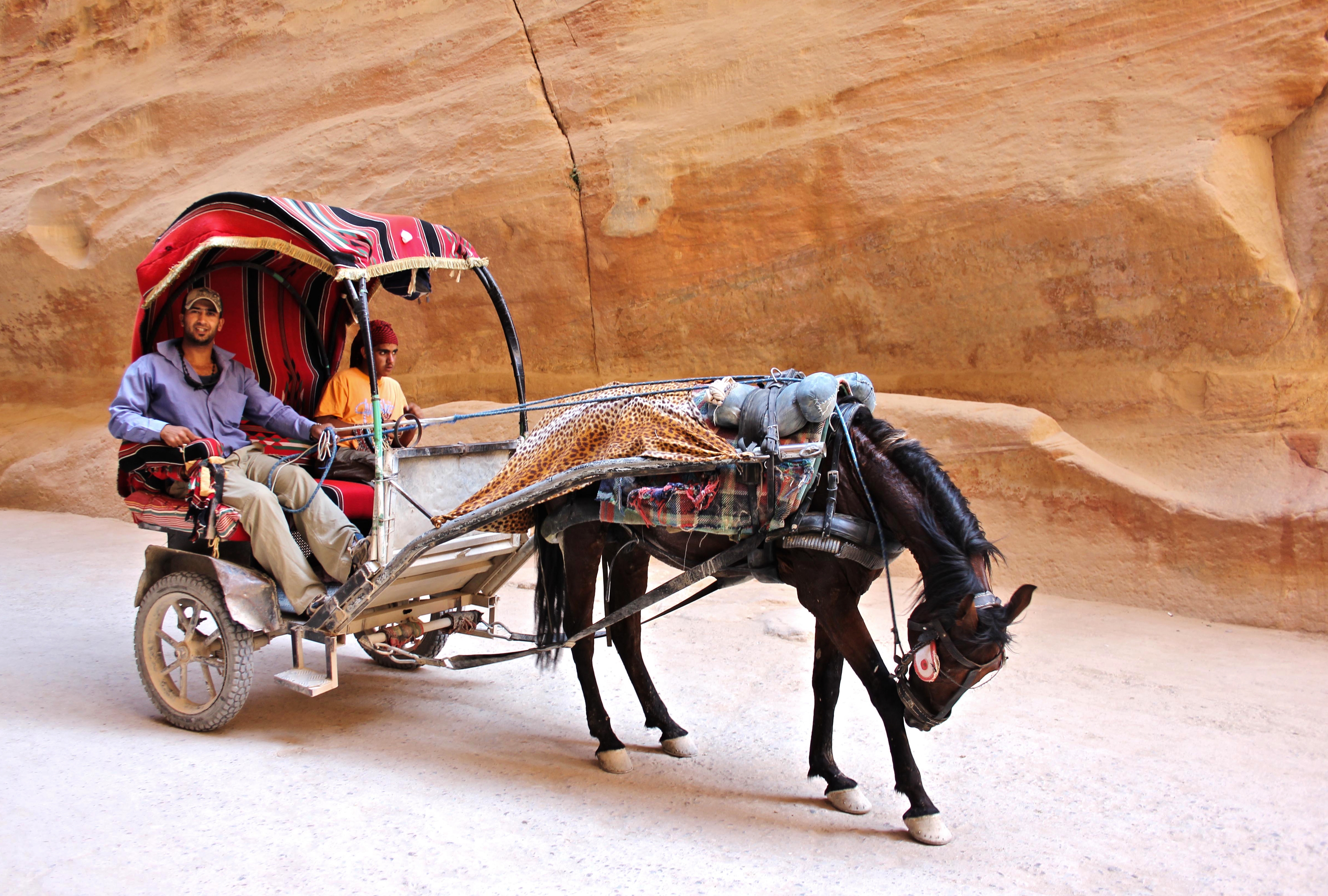 Horse and chariot in Petra. From the Siq to the Treasury