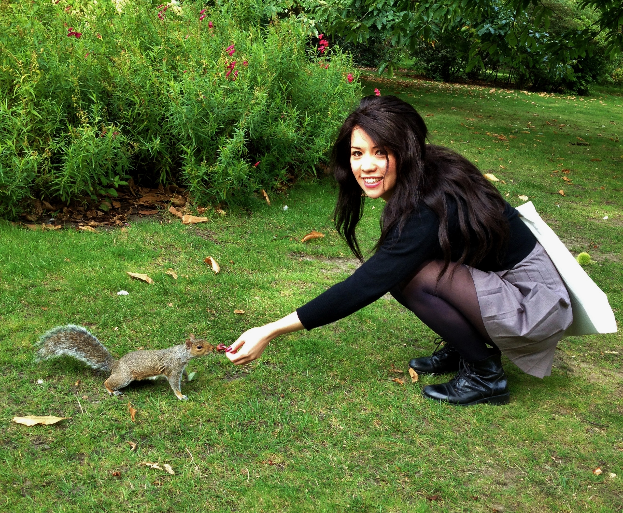 The squirrels in Greenwich Park