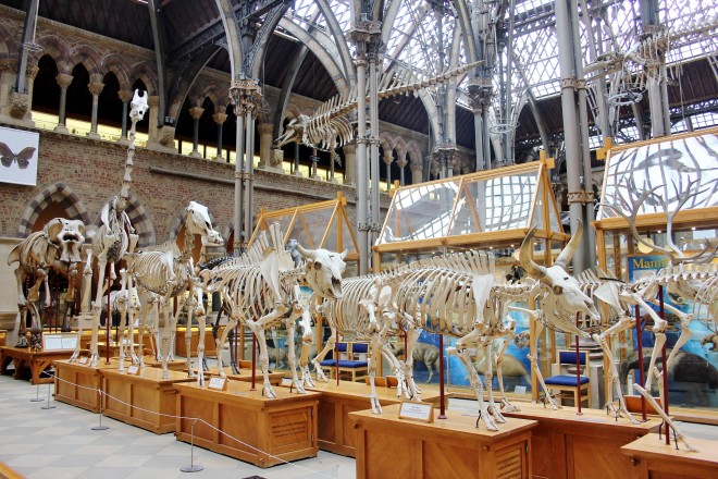 Oxford, Natural History Museum