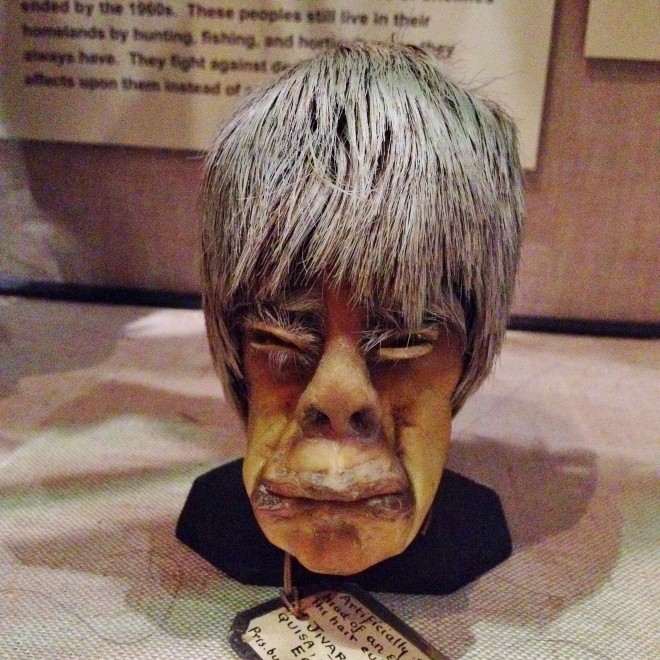 Shrunken heads, Pitt Rivers Museum