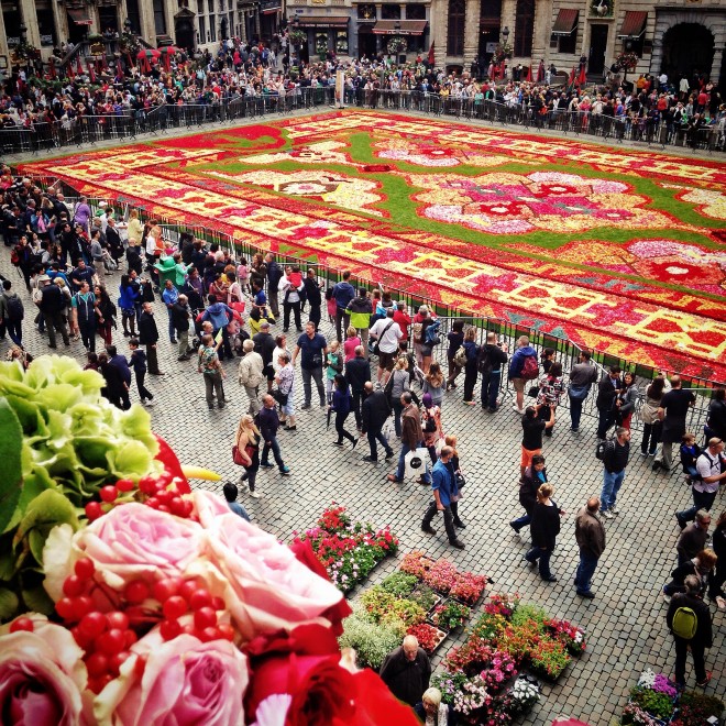 Brussels Flower Carpet in the Grand Place, Brussels 