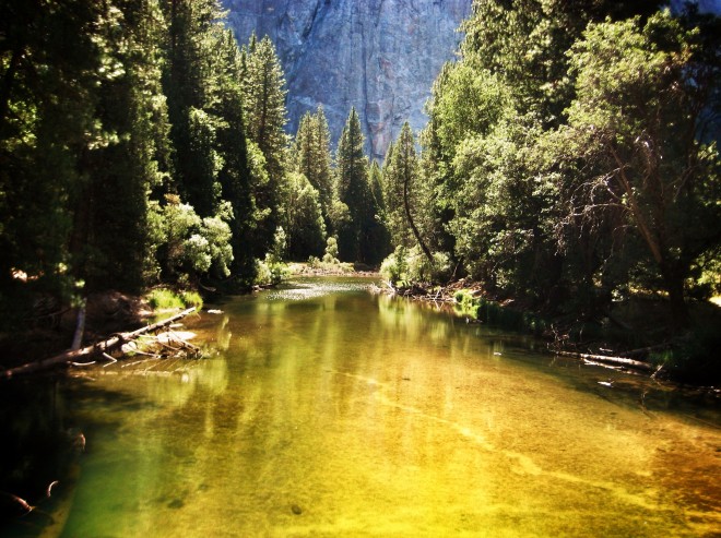 Yosemite National Park, river