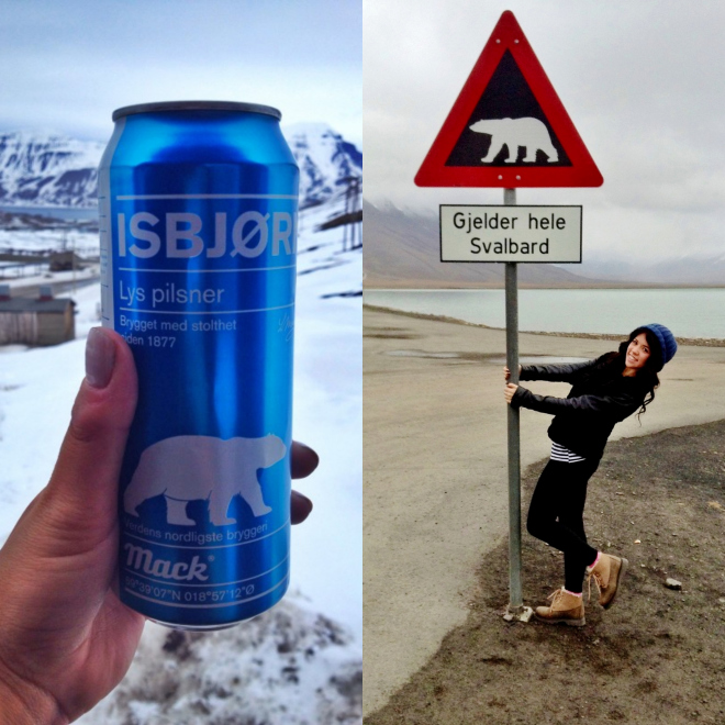 Polar bear beer in Svalbard