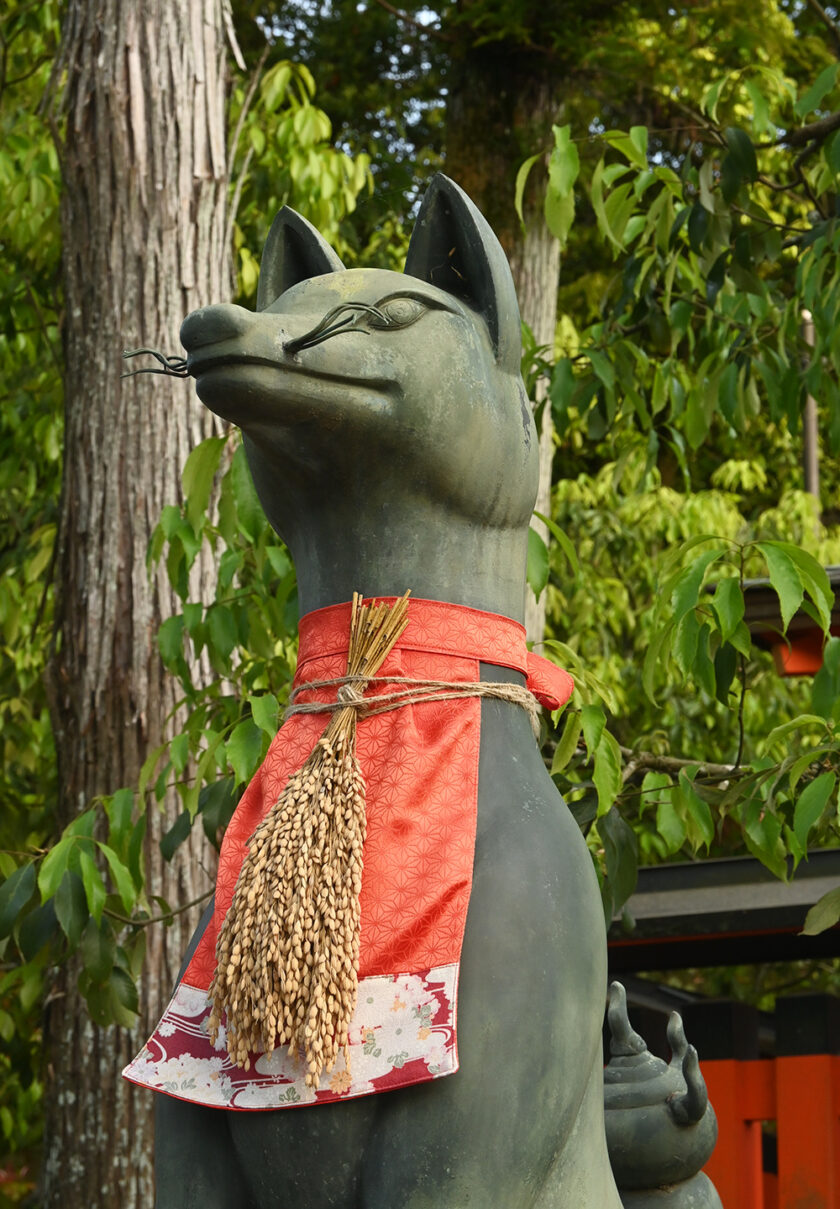 Fox statue, inari, Kyoto, Japan