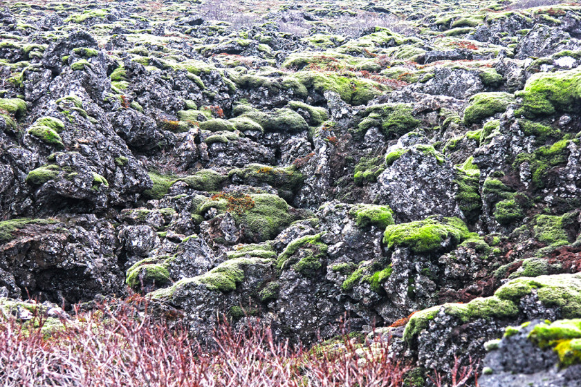 lava fields iceland