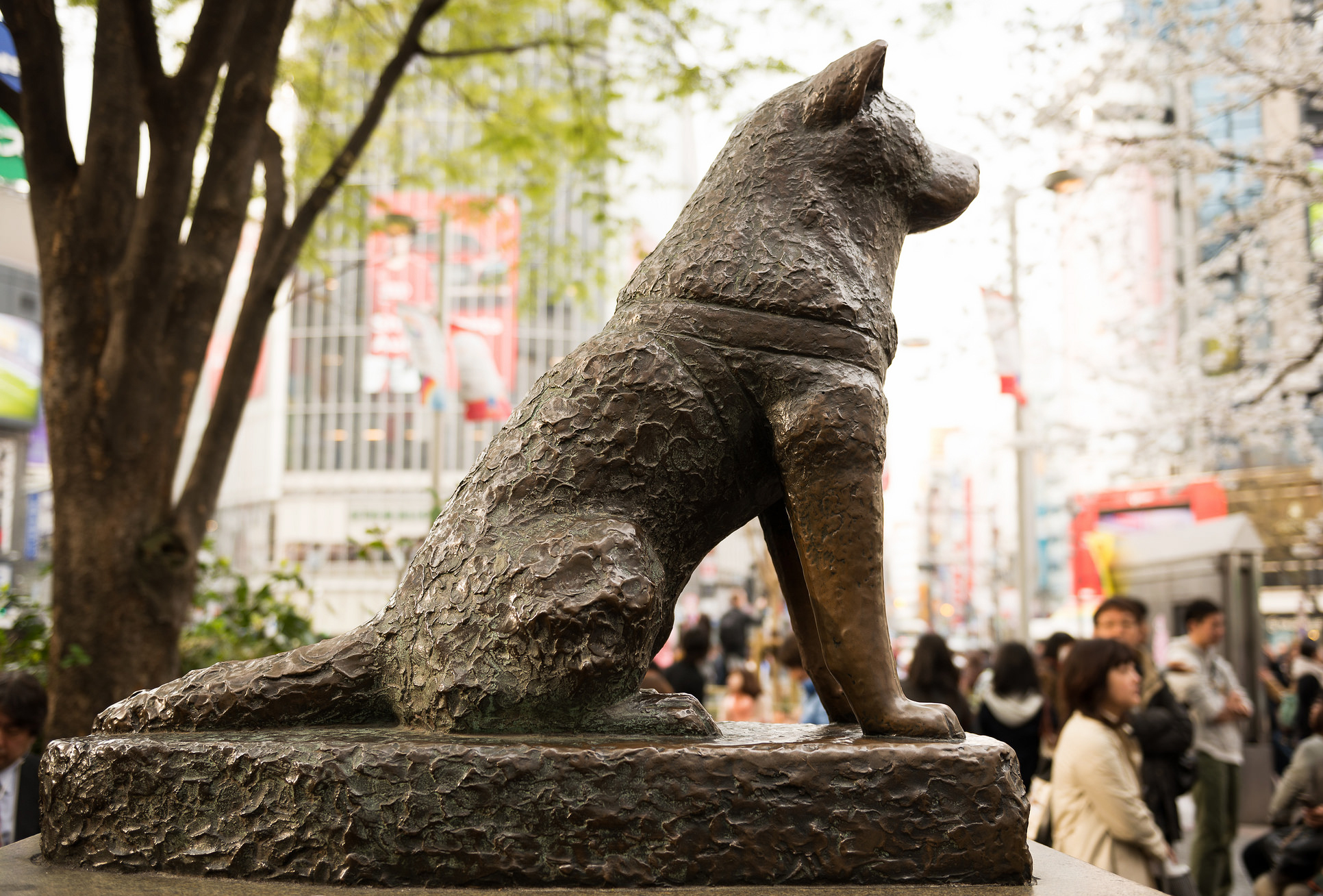 Statue of Hachiko the devoted dog - quirky things to do in Tokyo