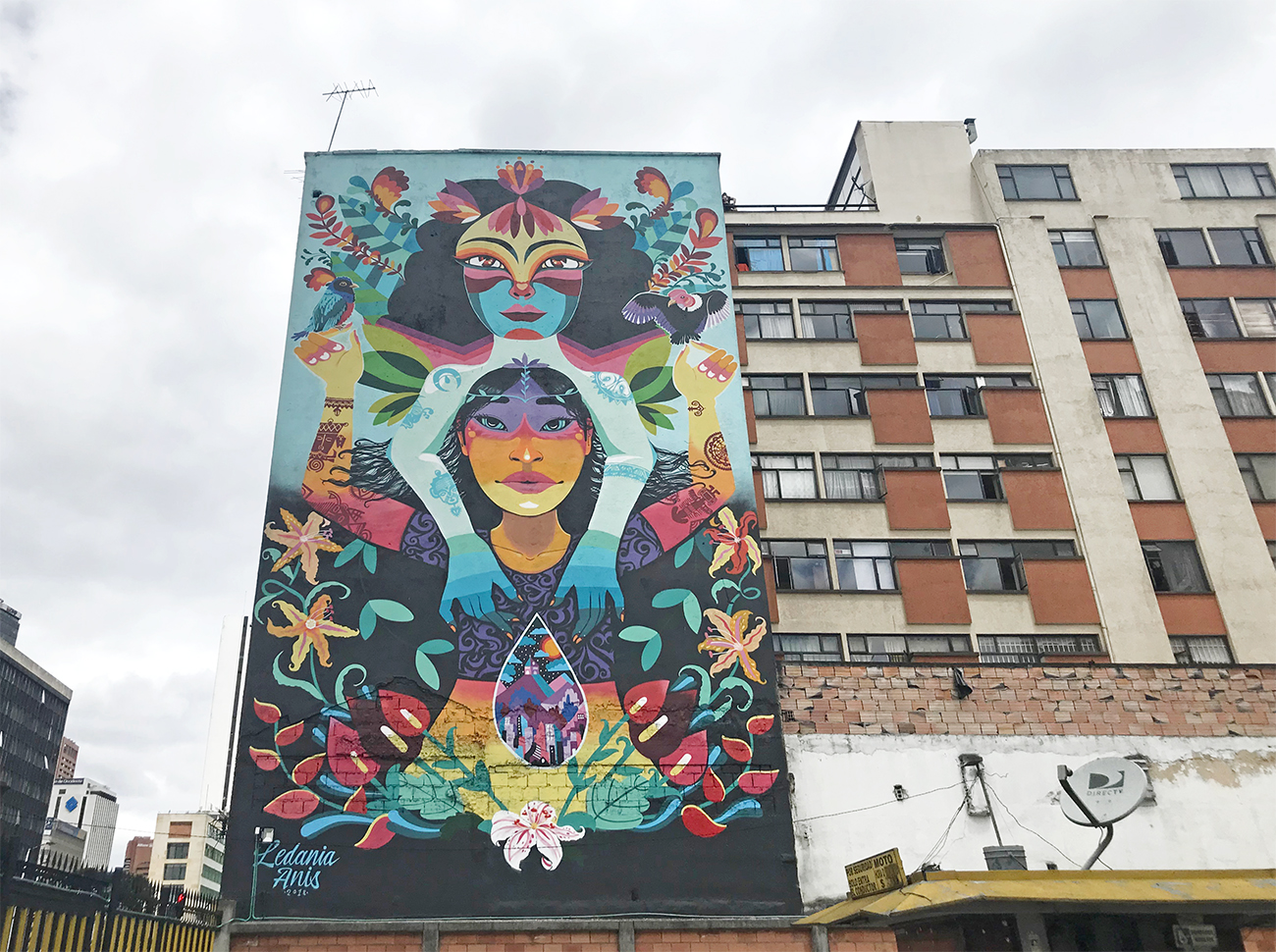 Large mural in Bogota by street artist LeDania