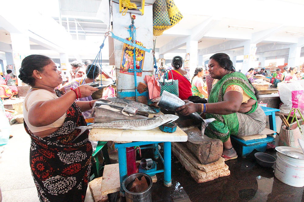 Inside the fish section of Goubert Market in Pondicherry, South India