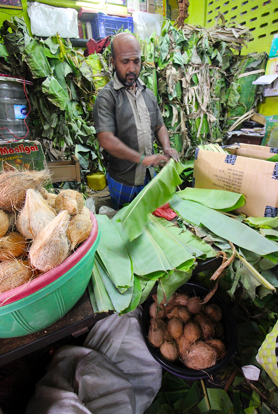 Inside Goubert Market in Pondicherry, Tamil Nadu, India