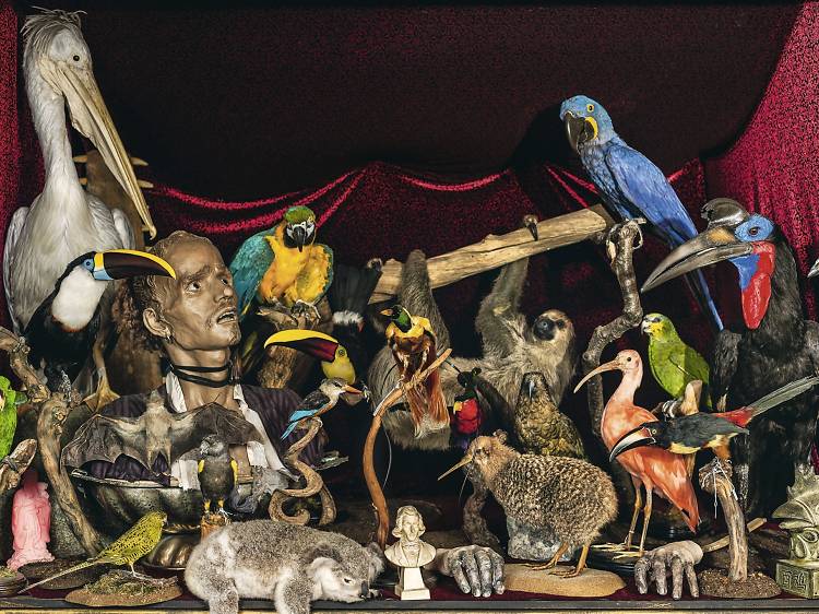 Viktor Wynd Museum of Curiosities - visit the most eccentric museums in London