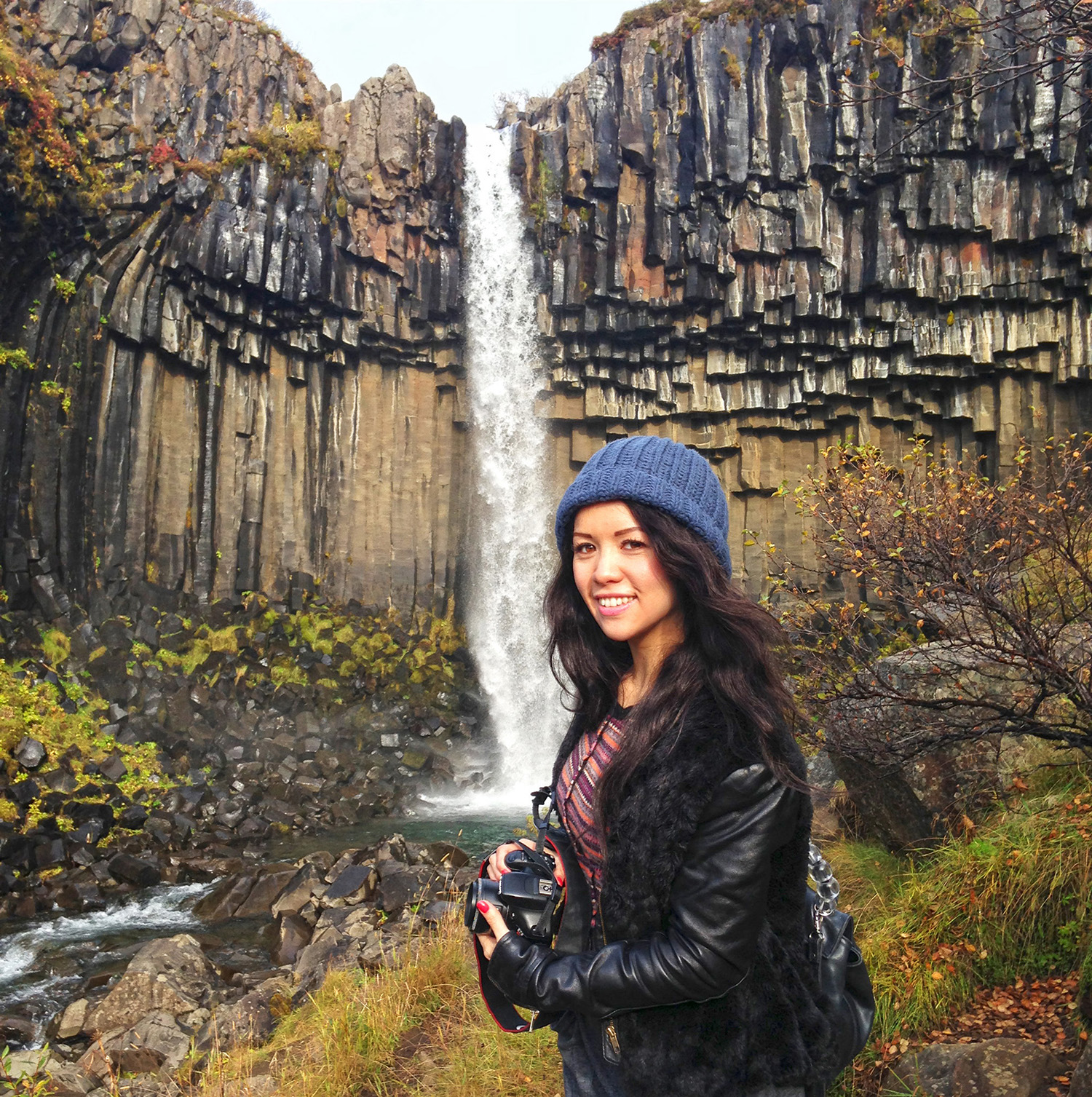 Basalt columns at Svartifoss waterfall in Iceland