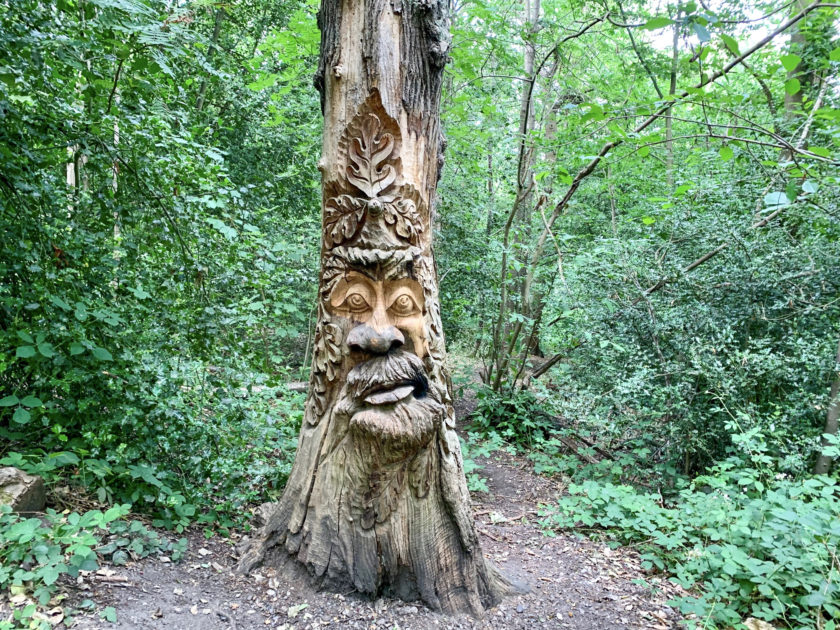 Tree Sculpture in Lesnes Abbey Woods, South London