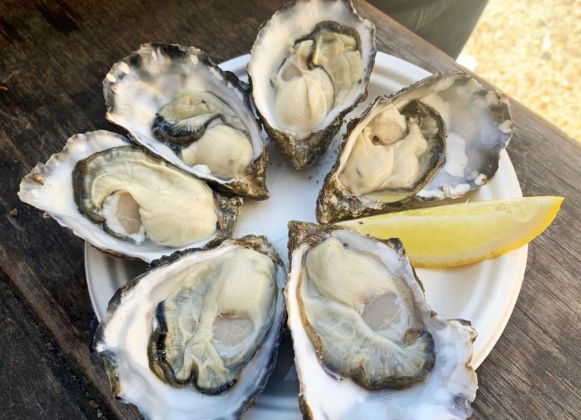 Oysters, Whitstable, Kent, England