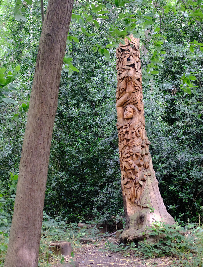 The Quirky Tree Sculptures at Lesnes Abbey Woods in South London