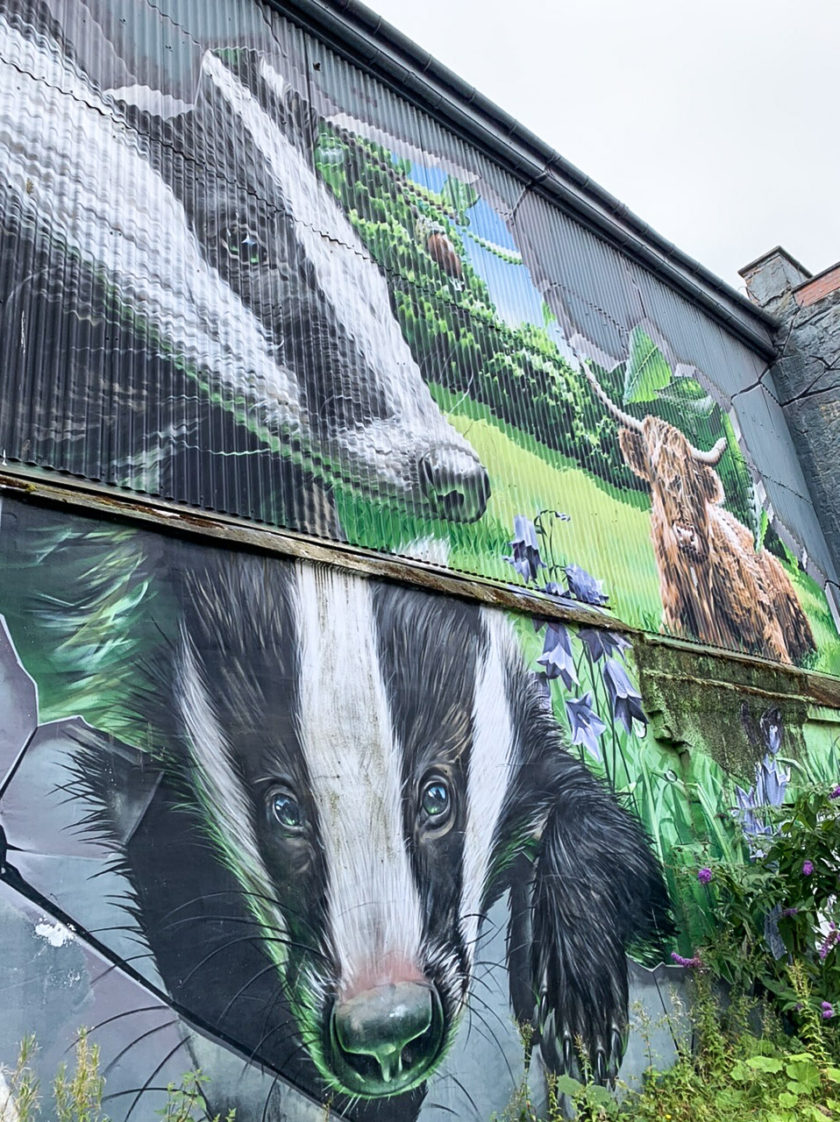 Wildlife street art mural in Glasgow