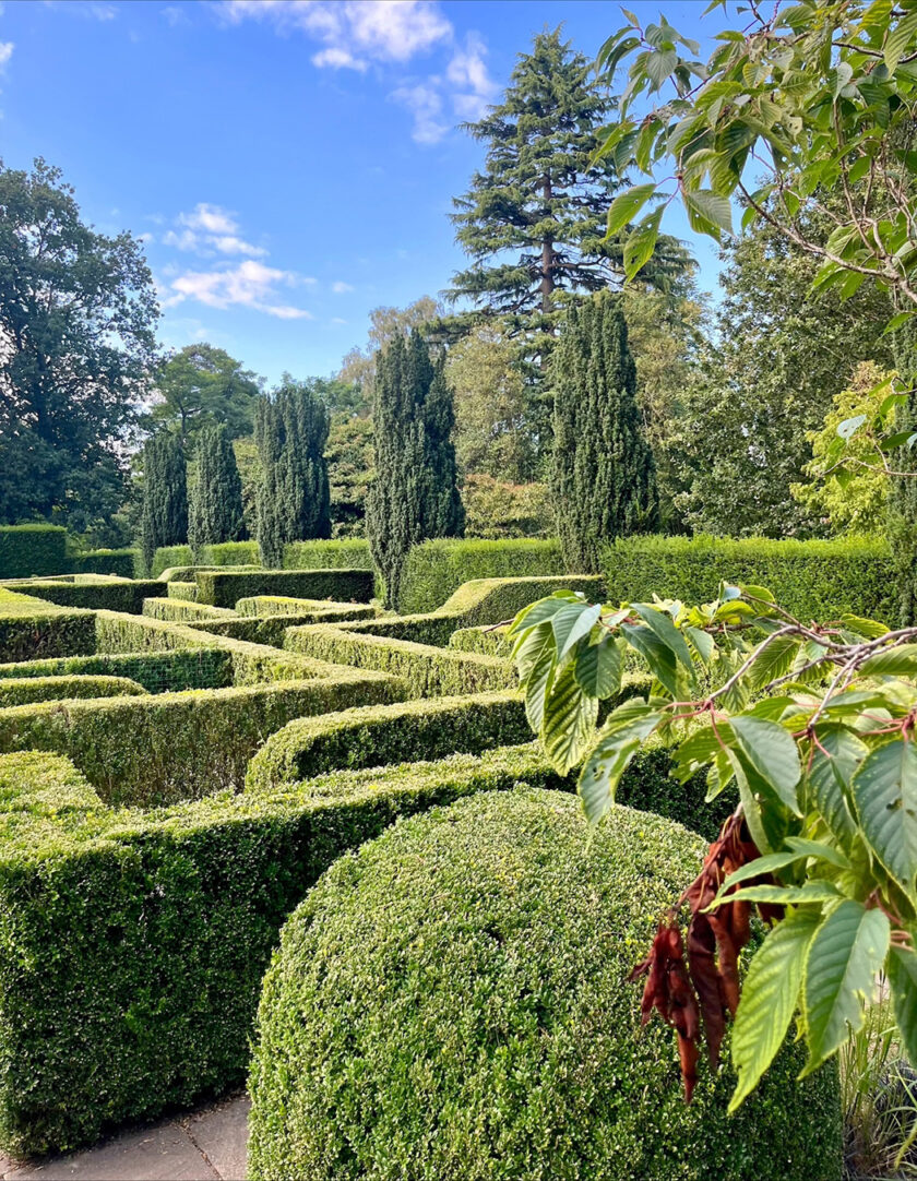 Maze garden in Knebworth House, England