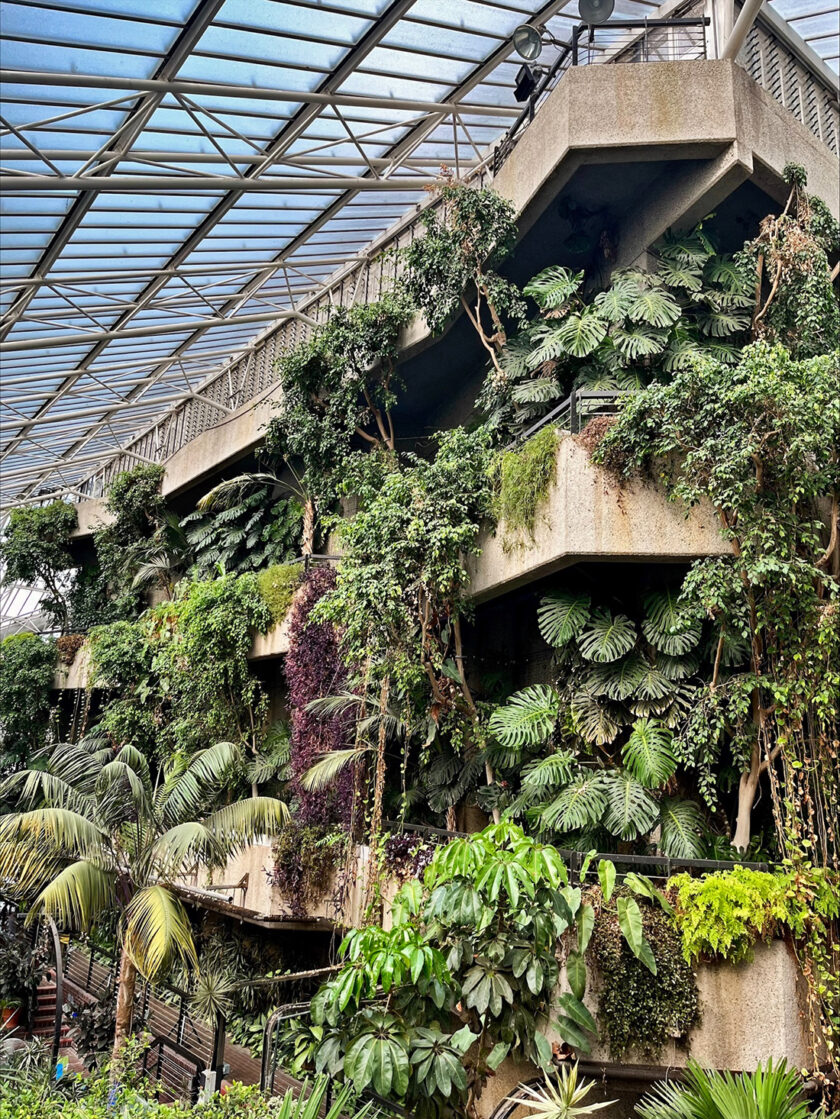Barbican Conservatory Tour - plants