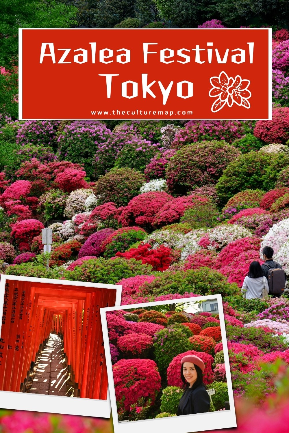Azalea Festival at Nezu Shrine: A Floral Explosion in Tokyo!