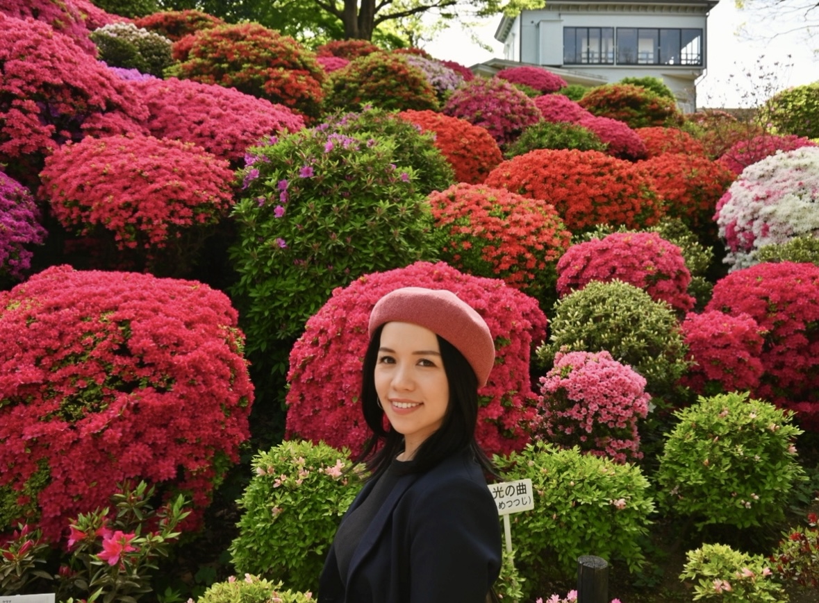 Azalea Festival In Japan Purple Azalea, With Festival, At Mountainside