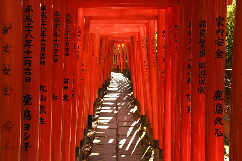Torii gates at Nezu Shrine in Bunkyo, Tokyo